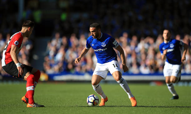 凯文的兴趣 凯文的兴趣